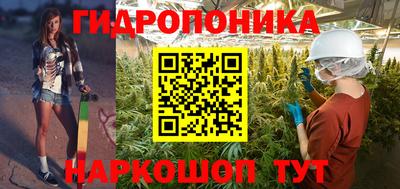 Альфа ПВП Новозыбков